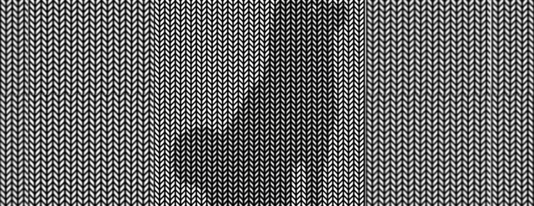 Ifølge eksperter kan 99% ikke se det skjulte dyret i dette bildet. Kan du se det?