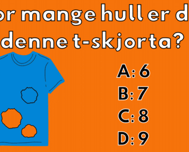 Denne gåten får frustrasjonene til å øke: Hvor mange hull er det i denne skjorten?