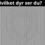 Viral synstest! Hvilket dyr ser du?