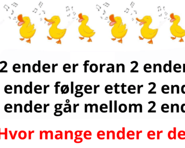 VIRAL IQ-TEST: Hvor mange ender er det?