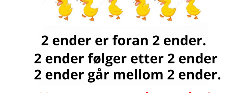 VIRAL IQ-TEST: Hvor mange ender er det?