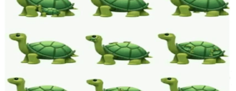 IQ TEST: Hvor MANGE skilpadder ser du?