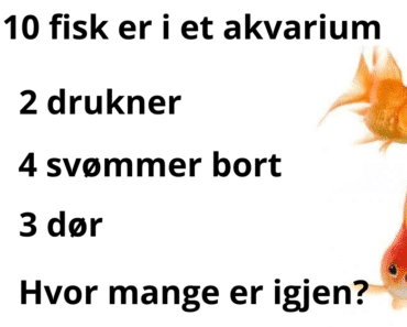 Jeg tror ingen kan løse hvor mange fisk som er igjen.