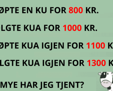 Nesten ingen klarer å løse denne kua-gåten! Hvor mye har jeg tjent?