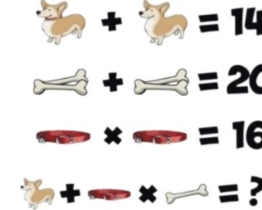 Mange klarer ikke å løse dette matematikkproblemet. Kan du vise oss hva svaret er?