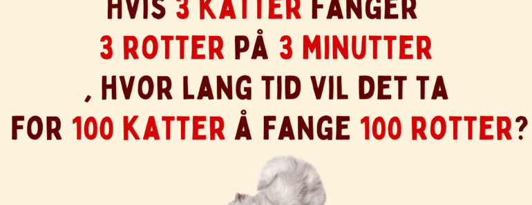 Det er tid for gåter! Hva er svaret?