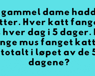 Hvor mange mus fanget kattene? – En utfordrende regnegåte!