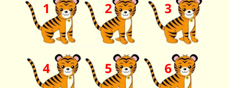 Kun smarte mennesker ser dette: Hvilke tigerunger er forskjellige fra resten?