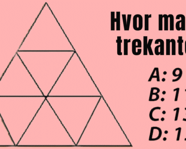 Kun få personer svarer korrekt: Hvor mange trekanter kan du finne på bildet?