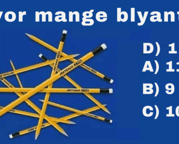 Bare en brøkdel svarer riktig: Hvor mange blyanter er det?