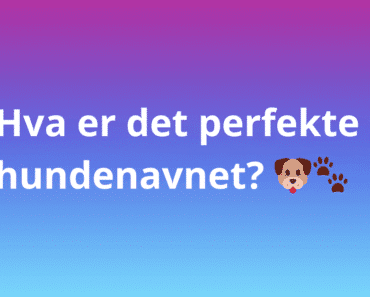 Hva er det perfekte hundenavnet? 🐶🐾