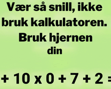 Ingen kan løse dette ved kun å bruke hjernen sin.