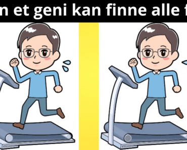 Kun et geni kan finne alle feil..