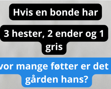 Hvor mange føtter er det på gården hans?