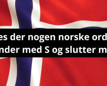 Findes der nogen norske ord som begynder med S og slutter med S?