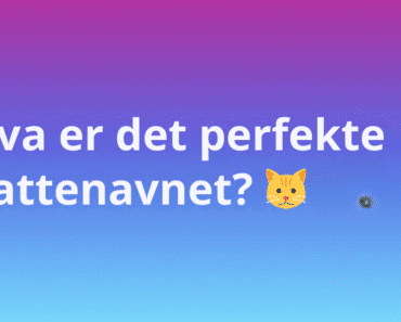 Hva er det perfekte kattenavnet? 🐱