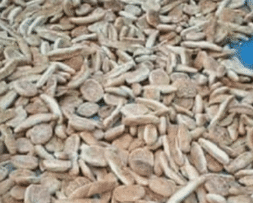 Hjernetrim: Næsten ingen ser katten på dette billede – kan du?